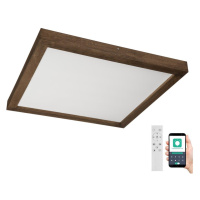 Brilagi Brilagi-LED Stmívatelné svítidlo WOODY FRAME LED/50W/230V dub 60x60 cm IP44 + DO