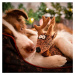Akinu ČESKÝ LES Vánoční jelen korunovaný pro psy