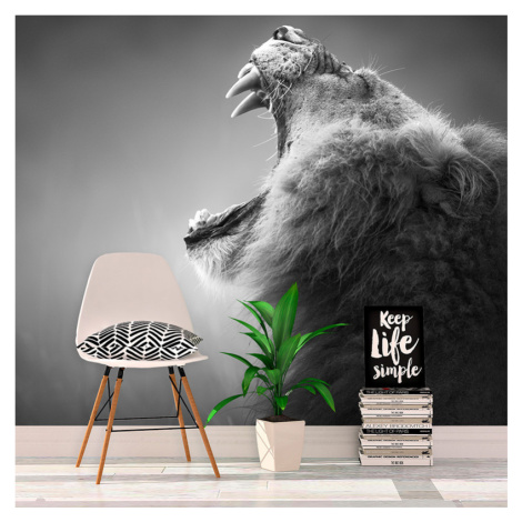 Tapeta Řvoucí lev - 208x125 cm