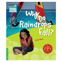 Cambridge Factbooks 3 Why Do Raindrops Fall? Cambridge University Press