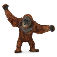 Collecta orangutan