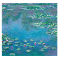 Obrazová reprodukce Water Lilies (1840–1926), Claude Monet, 40 × 40 cm