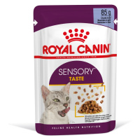 Royal Canin Sensory Taste - vlhké krmivo v želé pro dospělé kočky 12 x 85 g