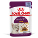 Royal Canin Sensory Taste - vlhké krmivo v želé pro dospělé kočky 12 x 85 g