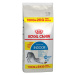 Royal Canin Feline granule, 10 + 2 kg zdarma! - Indoor 27