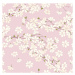 Ilustrace Cherry Blossom Pattern, Rusanovska, (40 x 40 cm)