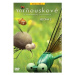 Mrňouskové 06 - 2. série- DVD - tv seriál