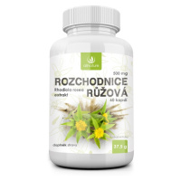 Allnature Rozchodnice rhodiola rosea 500mg 60 kapslí