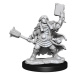 Dungeons & Dragons Frameworks: Dwarf Cleric Female