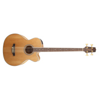 Takamine GB72CE, Rosewood Fingerboard - Natural