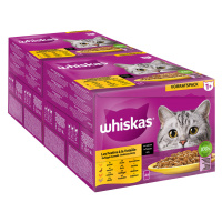 Výhodné balení Whiskas 1+ kapsičky 96 x 85 / 100 g - drůbeží výběr v omáčce (96 x 85g) - Kuře, d