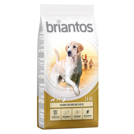 Briantos granule, 12 / 14 kg - 10 % sleva - Adult Maxi kuřecí s rýží (14 kg)