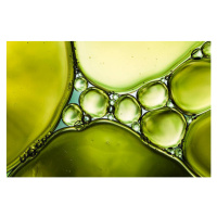 Fotografie Oil & Water - Abstract Background Green Macro, ThomasVogel, 40x26.7 cm