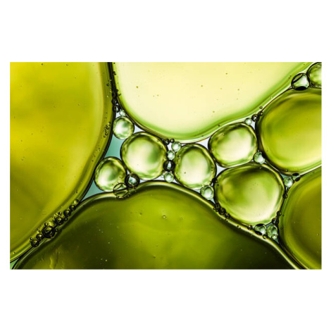 Fotografie Oil & Water - Abstract Background Green Macro, ThomasVogel, 40 × 26.7 cm