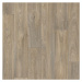 Beauflor PVC podlaha - lino Ambient Havanna Oak 613M - dub - Rozměr na míru cm