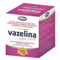 Vitar Vazelina Aloe Vera 110g (134ml)