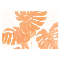 Umělecká fotografie Trendy Shadow of Tropical leaves of, Iryna Veklich, (40 x 26.7 cm)