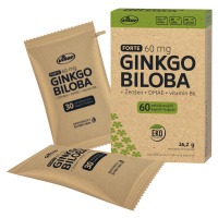 Vitar Ginkgo biloba + DMAE + vitamín B6 EKO 60 kapslí