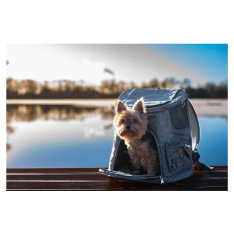 Seb batoh pro psa | do 3 Kg Barva: Růžová