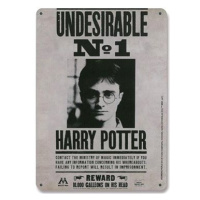 Harry Potter: Undesirable No 15 × 21 cm