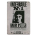 Harry Potter: Undesirable No 15 × 21 cm