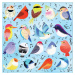 Mudpuppy Puzzle Zpívající ptáci 500 dílků