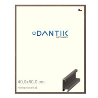 DANTIK rámeček 40 × 50, ALU profil 6035 Hnědý tmavý sklo čiré