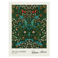 Obrazová reprodukce Tulip Blackthorn (1834), William Morris, 30 × 40 cm