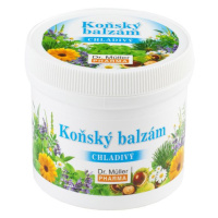 Dr. Müller Koňský balzám chladivý 250 ml