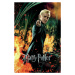 Umělecký tisk Harry Potter - Draco Malfoy, 26.7 × 40 cm