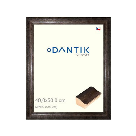 DANTIK rámeček 40 × 50, NEVIS šedý plexi čiré