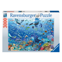 Puzzle Pod vodou 3000 dílků