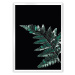 Dekoria Plakát Dark Fern Leaf, 50 x 70 cm, Volba rámku: Bílý
