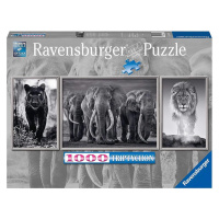 Ravensburger 16729 triptych puzzle panter, slon a lev panorama 1000 dílků