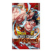 Dragon Ball Super Wild Resurgence Booster