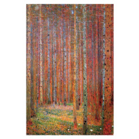 Plakát, Obraz - Jedlový les, (61 x 91.5 cm)