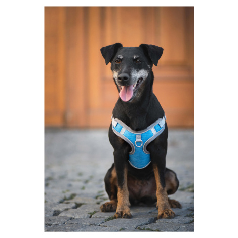 Vsepropejska Havi postroj pro psa s vodítkem Barva: Modrá, Obvod hrudníku: 23 - 29 cm