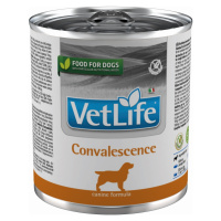 VET LIFE Natural Convalescence konzerva pro psy 300 g