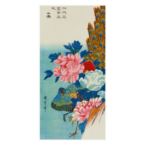 Obrazová reprodukce The Peacock & The Peonies, Utagawa Hiroshige, 20 × 40 cm