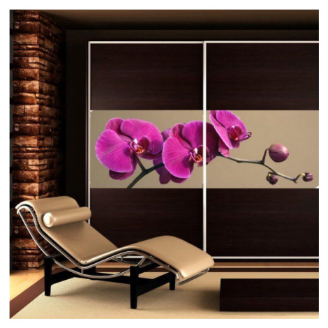 Nálepka na skříň - Fialová orchidej INSPIO