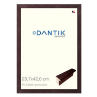 DANTIK rámeček 29,7 × 42, FC hnědý vysoký plexi čiré