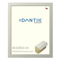 DANTIK rámeček 40 × 50, WOODLINE bílý prodřený plexi čiré