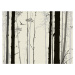 FTNS 1262 AG Design vliesová fototapeta 4-dílná Mystic Forest - Mystický les, velikost 360  x 27