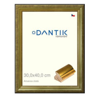 DANTIK rámeček 30 × 40, ANIVERSA zlatý plexi čiré