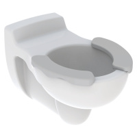 Geberit Kind - Závěsné dětské WC, 330x535 mm, bílá/šedá plocha 201715000