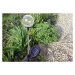 REMO zahradní LED sada solárních světel Garth s barevnou změnou 5 ks Garthen D00284