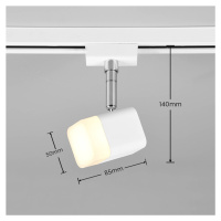 Trio Lighting LED bodové světlo Roubaix DUOline, bílá matná