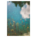 Fotografie Cool natural gradient over the lake, Javier Pardina, (26.7 x 40 cm)