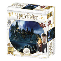 Harry Potter 3D puzzle - Bradavice v noci 500 dílků - Kolektiv