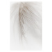 Fotografie White Feather, Magda Izzard, 26.7 × 40 cm